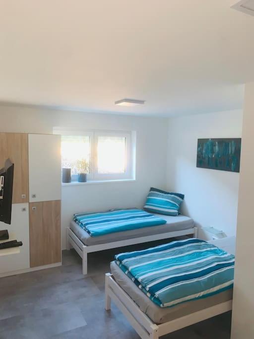 Moderne, helle Ferienwohnung in Au am Rhein Exterior foto